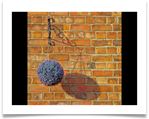 Left Hanging - Chris Beesley